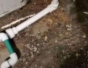 泾川卫生间测漏水服务电话