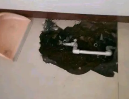 泾川卫生间测漏水多少钱